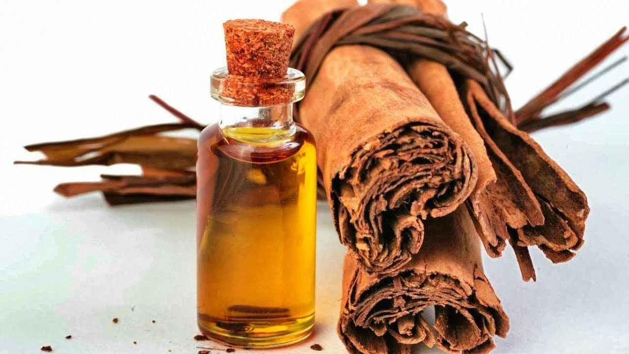 Tarçın Parfümü Nedir?
