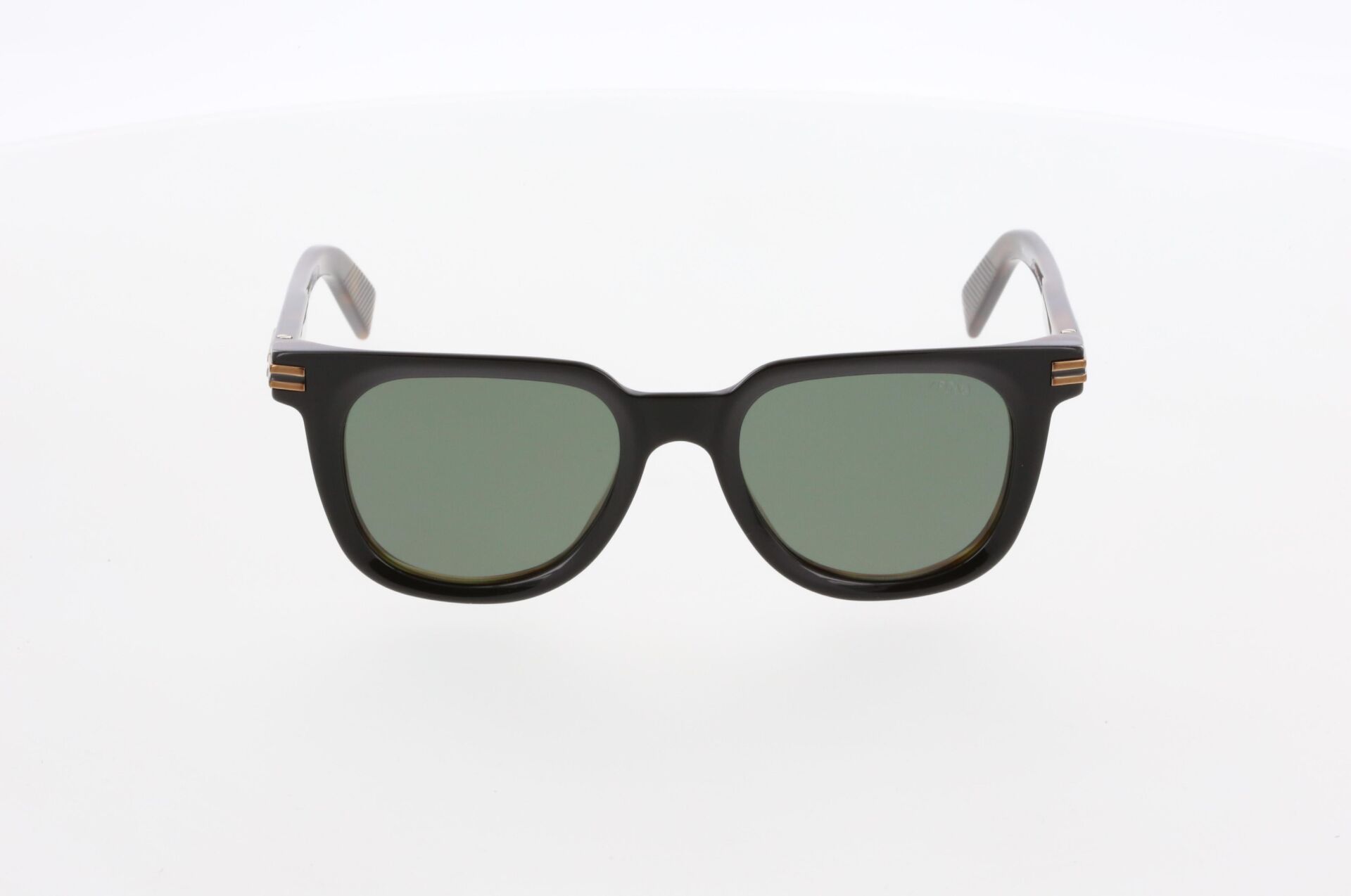 Zegna EZ0248 05R Erkek Güneş Gözlüğü