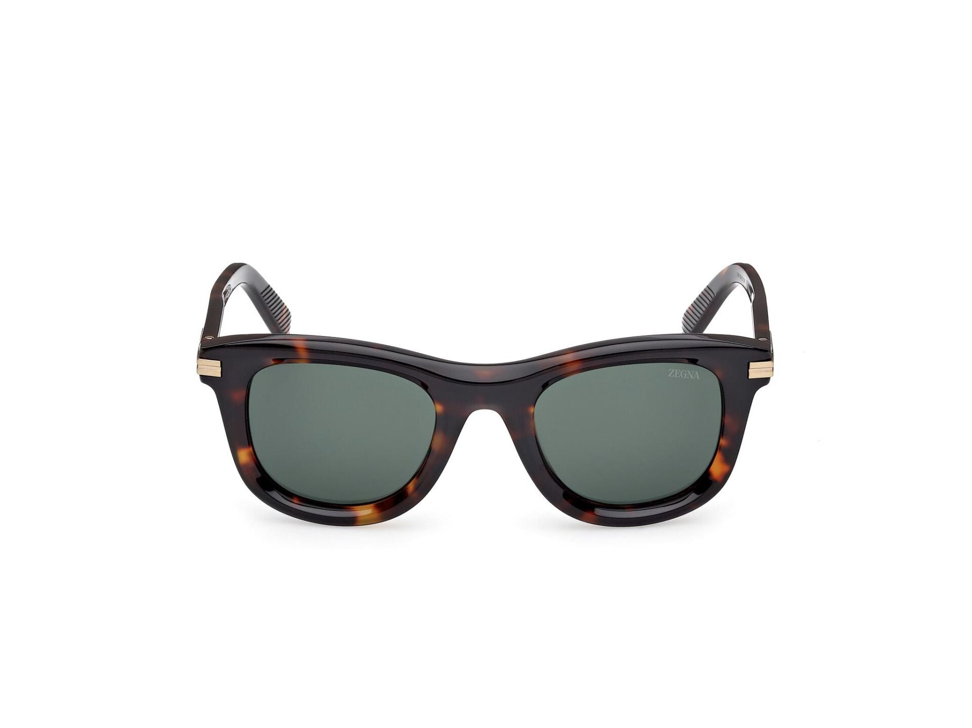 Zegna EZ0269 52N Erkek Güneş Gözlüğü