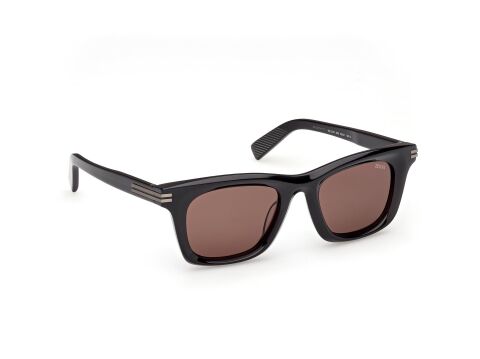 Zegna EZ0270 20E Erkek Güneş Gözlüğü