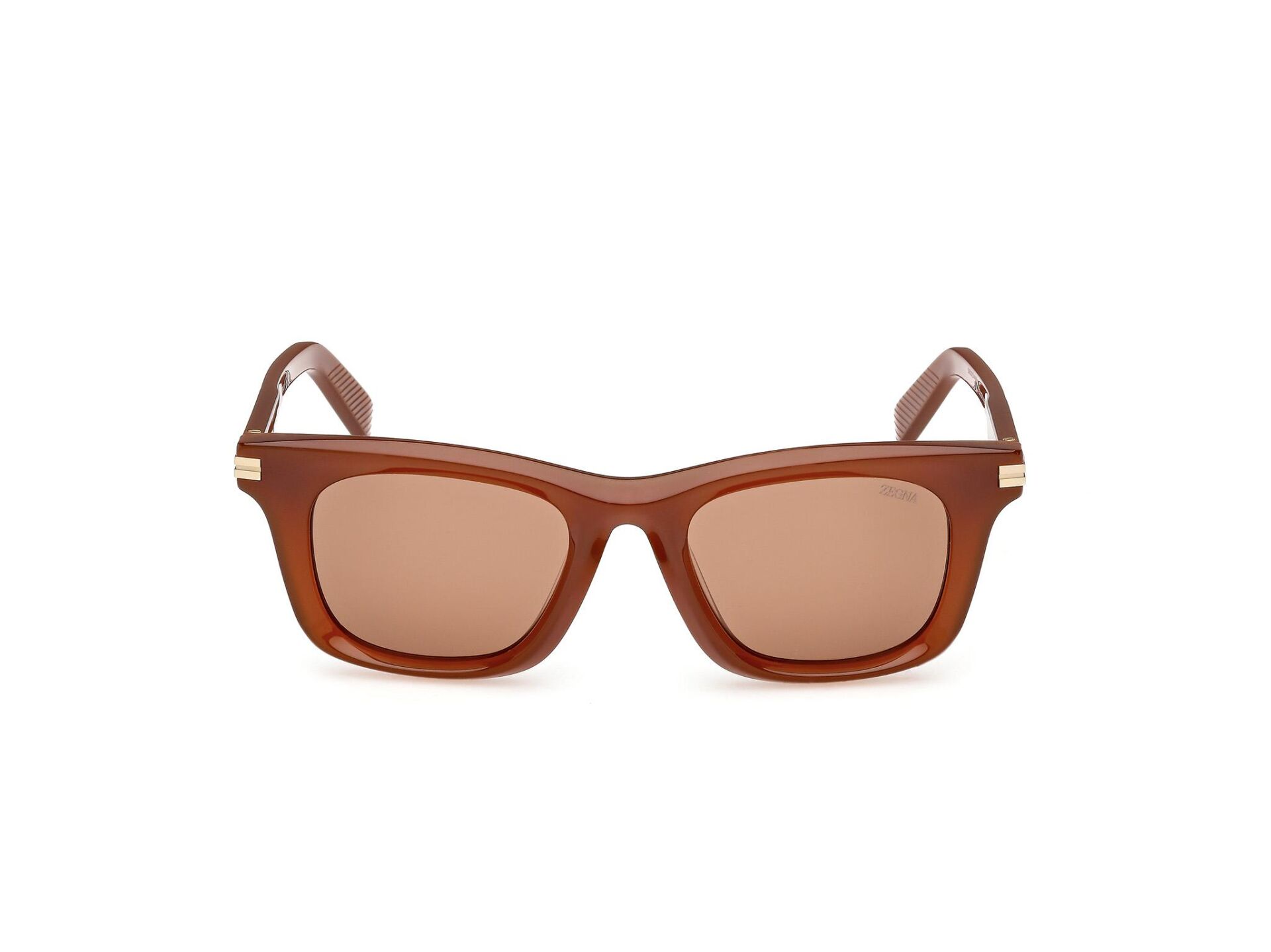 Zegna EZ0270 45E Erkek Güneş Gözlüğü