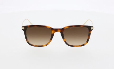 Omega OM0025 52F Erkek Güneş Gözlüğü