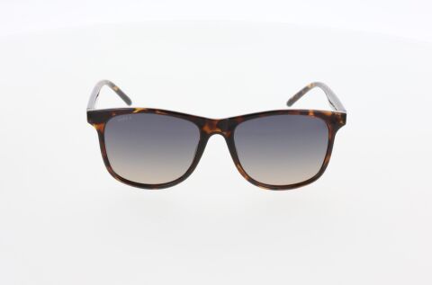 Hawk HW2182 02 Erkek Güneş Gözlüğü