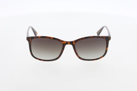 Mustang MU2504 03 Erkek Güneş Gözlüğü