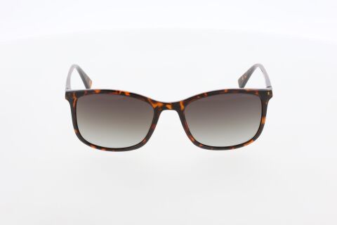 Mustang MU2504 03 Erkek Güneş Gözlüğü