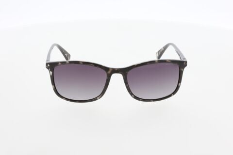 Mustang MU2504 04 Erkek Güneş Gözlüğü