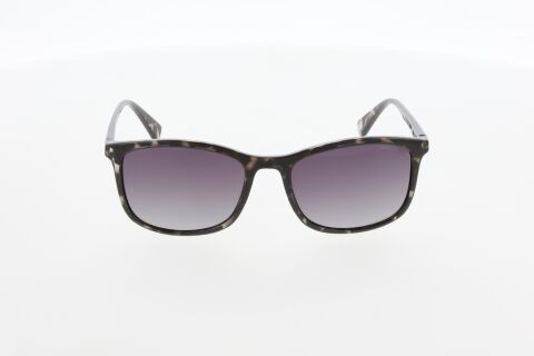 Mustang MU2504 04 Erkek Güneş Gözlüğü