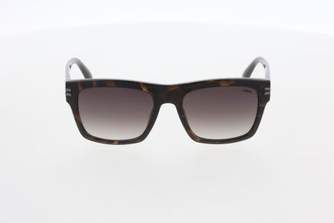 Hawk HW2286 03 Kadın Güneş Gözlüğü