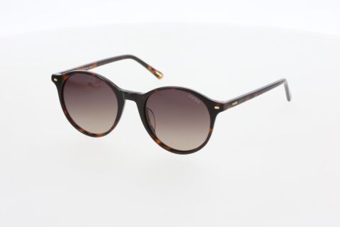 Hawk HW2304 04 Kadın Güneş Gözlüğü