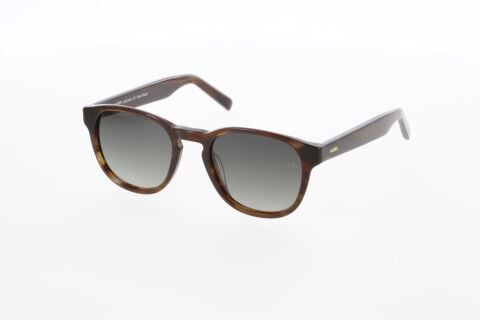 Hawk HW2246 03 Unisex Güneş Gözlüğü