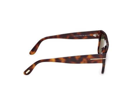 Tom Ford FT0907 53N Erkek Güneş Gözlüğü