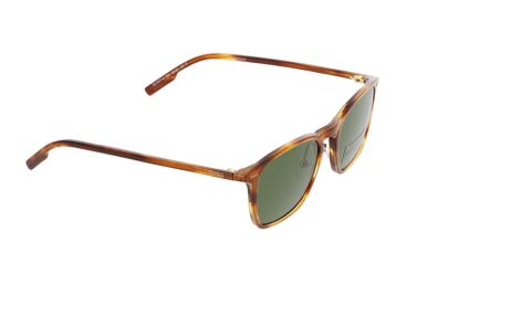 Ermenegildo Zegna EZ0211 56N Erkek Güneş Gözlüğü
