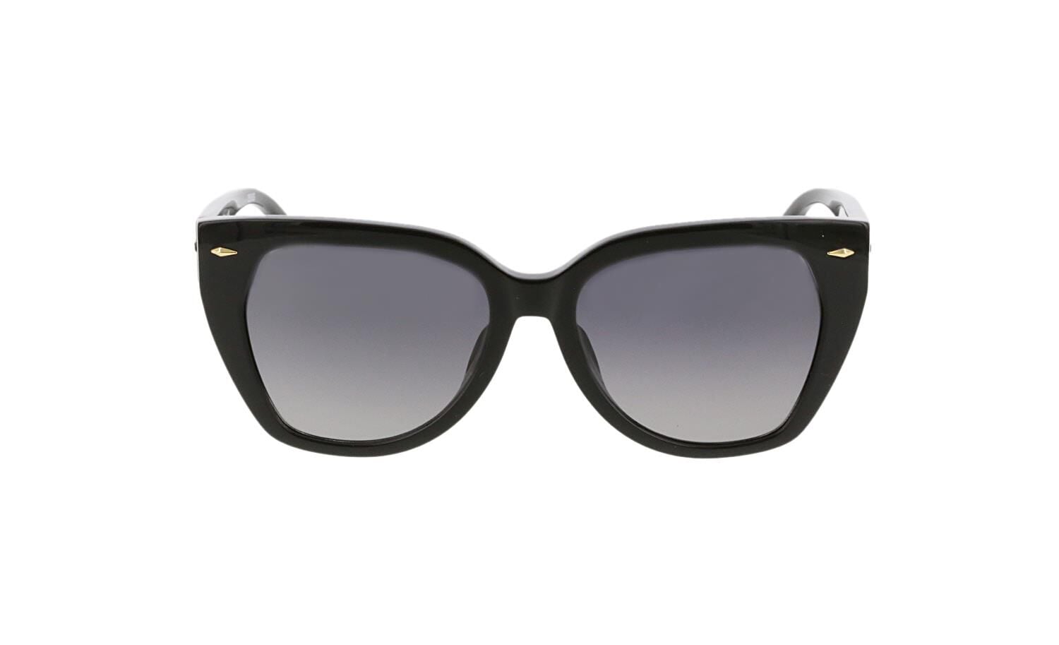 Longines LG0016 01B Kadın Güneş Gözlüğü