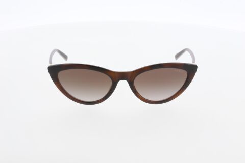 Guess GU3053 52F Unisex Güneş Gözlüğü