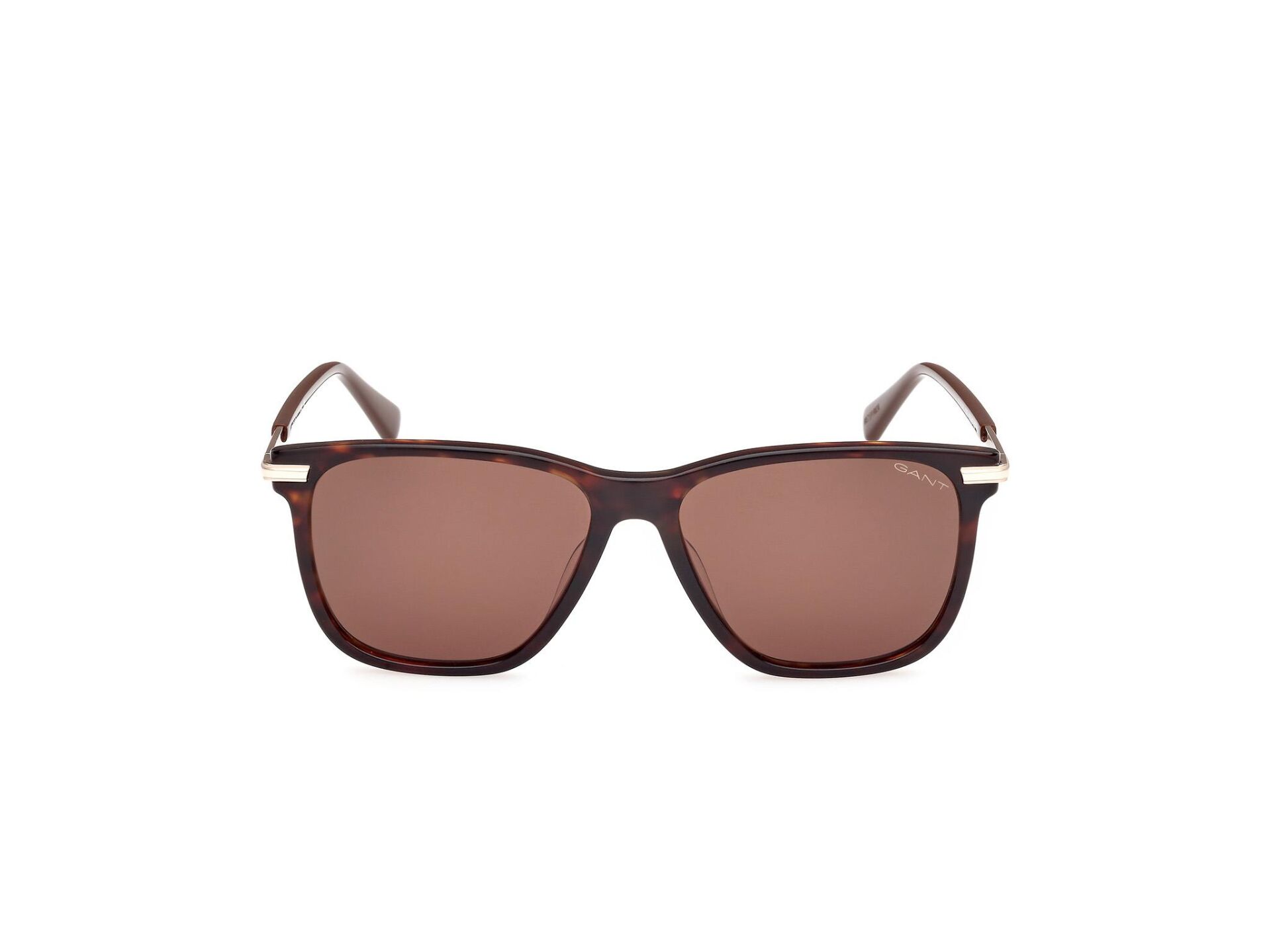 Gant GA00005 52E Erkek Güneş Gözlüğü