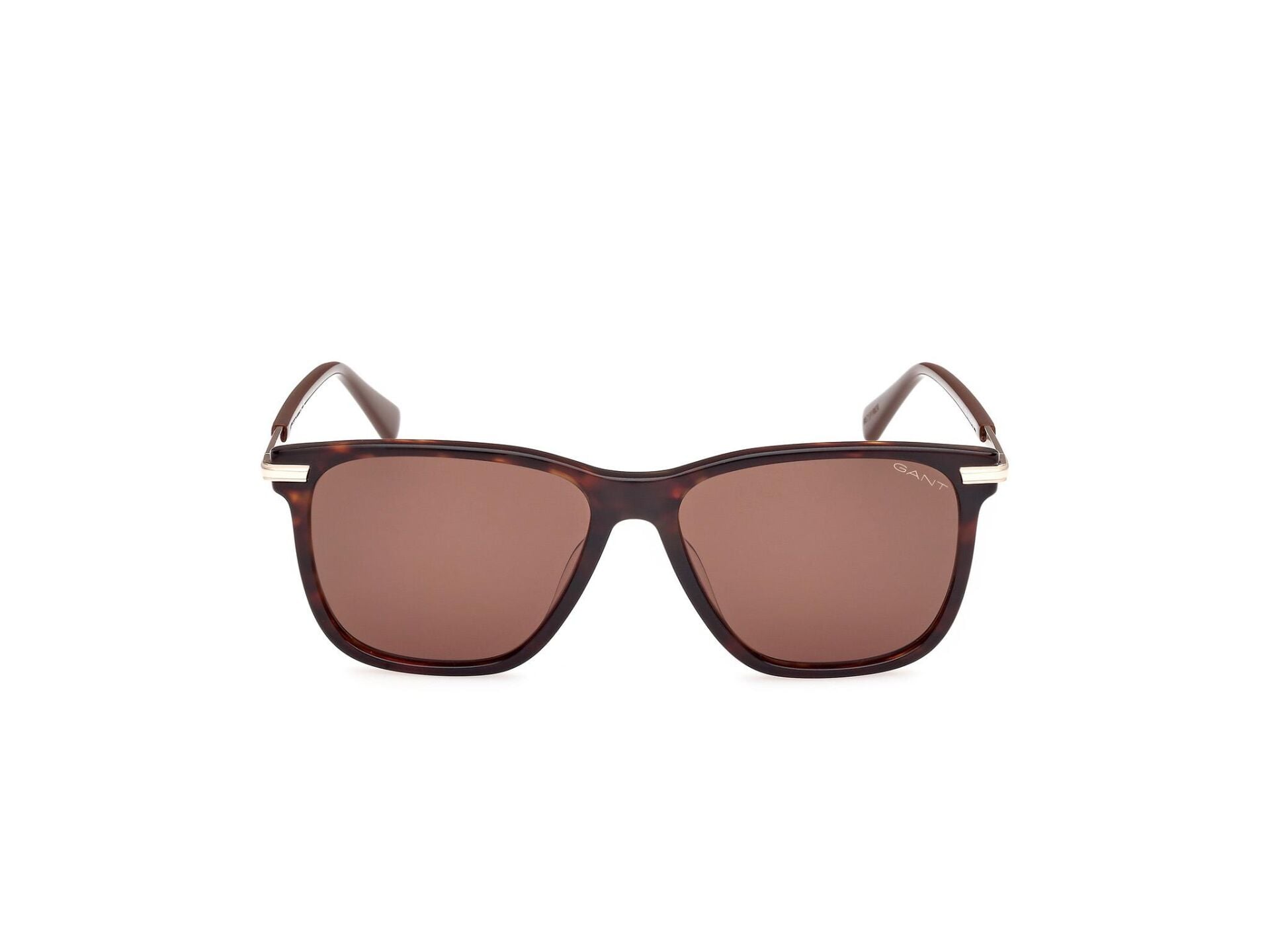Gant GA00005 52E Erkek Güneş Gözlüğü