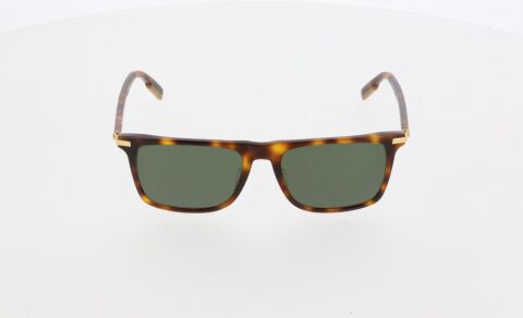 Ermenegildo Zegna EZ0204 52N Erkek Güneş Gözlüğü