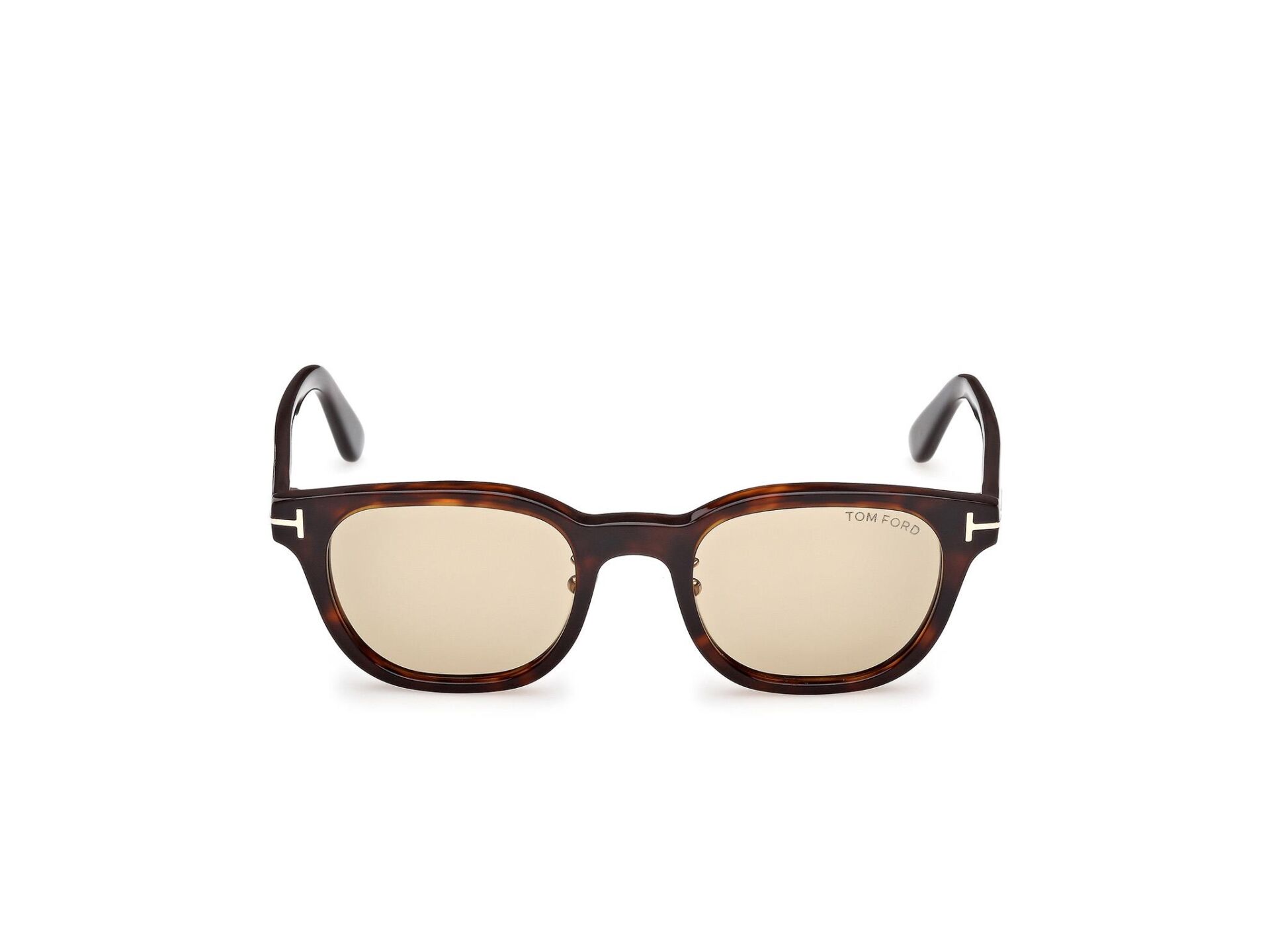 Tom Ford FT1231 52E Erkek Güneş Gözlüğü