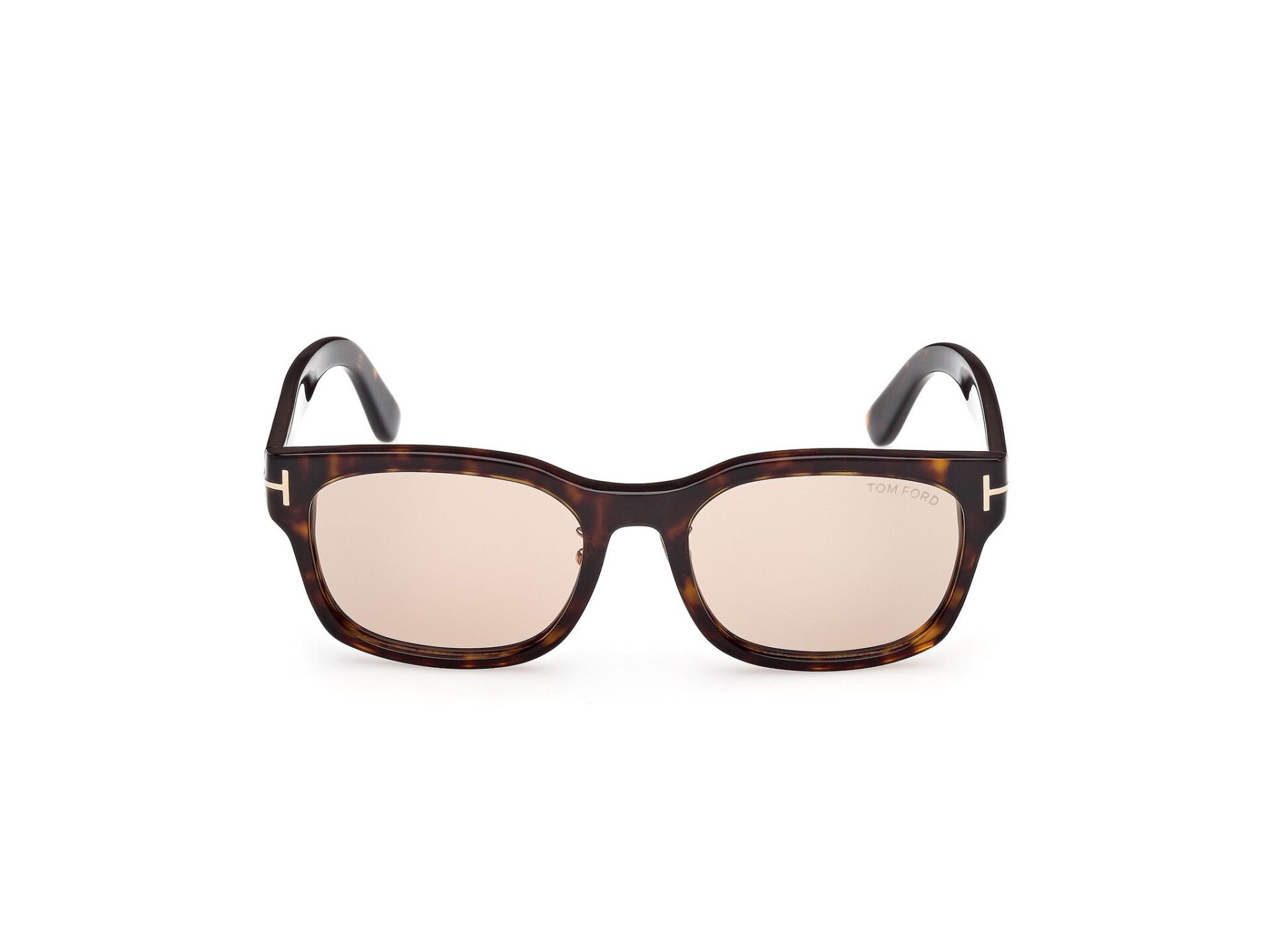 Tom Ford FT1232 52E Erkek Güneş Gözlüğü