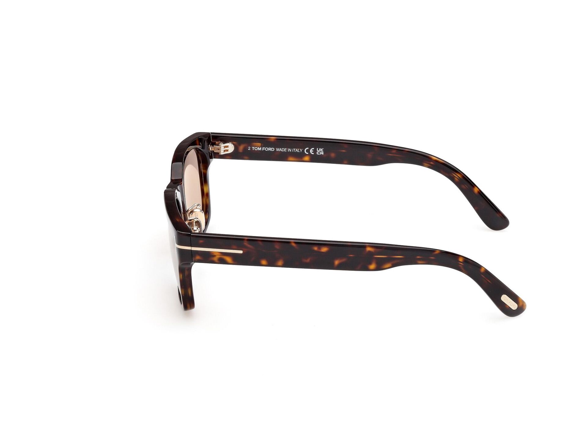 Tom Ford FT1232 52E Erkek Güneş Gözlüğü