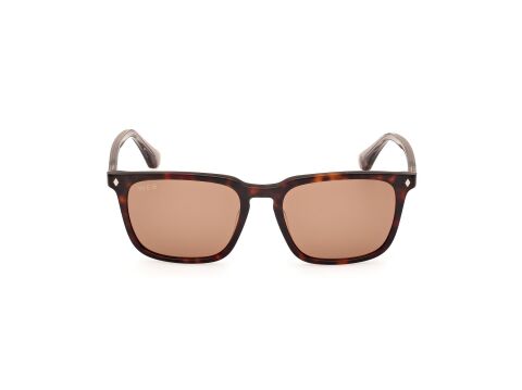 Web WE0369 56E Erkek Güneş Gözlüğü