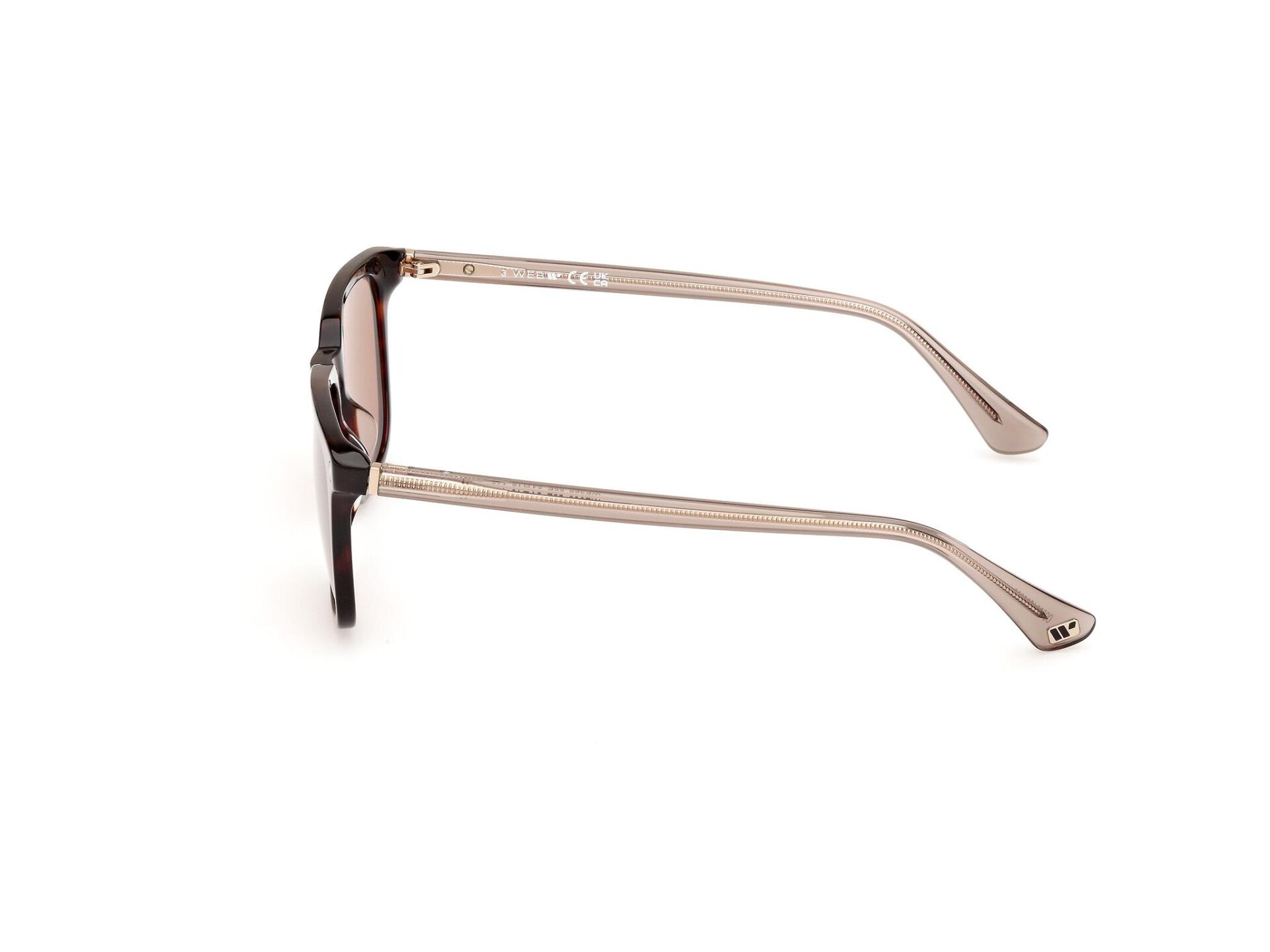 Web WE0369 56E Erkek Güneş Gözlüğü