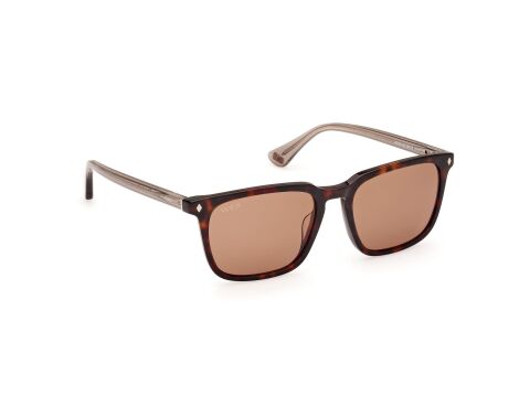 Web WE0369 56E Erkek Güneş Gözlüğü