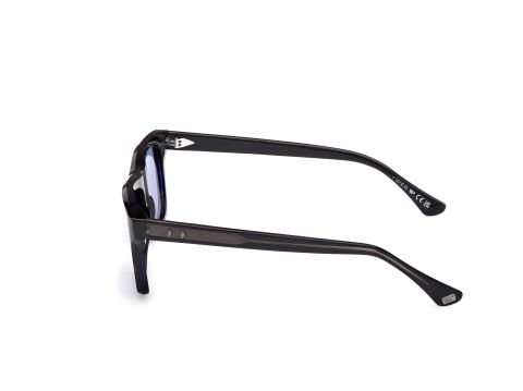 Web WE0382 56V Erkek Güneş Gözlüğü